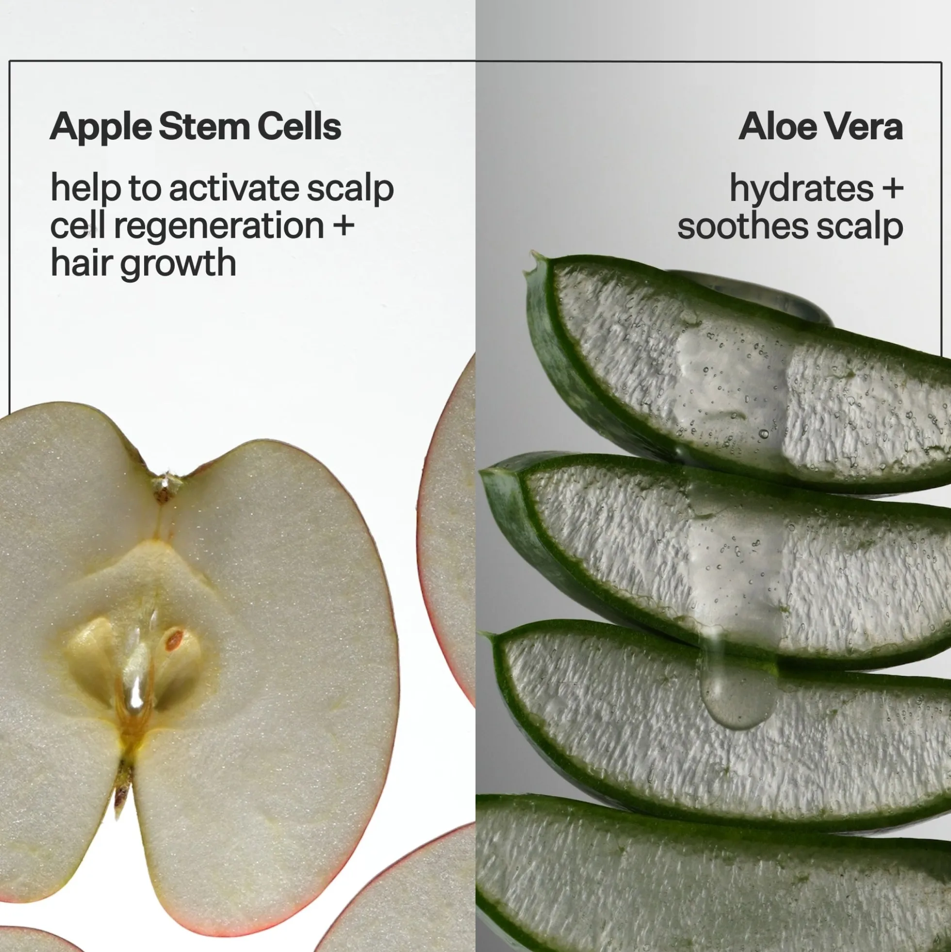 Act+Acre 2% Stem Cell Scalp Serum For Thicker-Looking Hair