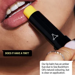 Allies of Skin Peptide and Ceramide Repair Lip Balm