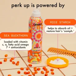 Amika Perk Up Dry Shampoo 97ml