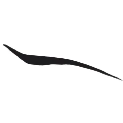Anastasia Beverly Hills Liquid Eyeliner