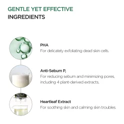 Anua Heartleaf 77 Clearpad 160ml