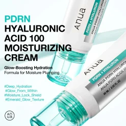 Anua PDRN Hyaluronic Acid 100 Moisturising Cream 60ml