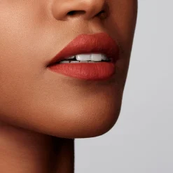 Armani Lip Matte Nature 29g (Various Shades)