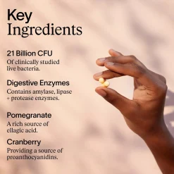 ARTAH Enhanced Synbiotic
