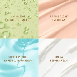 Biossance Plump and Hydrate Set