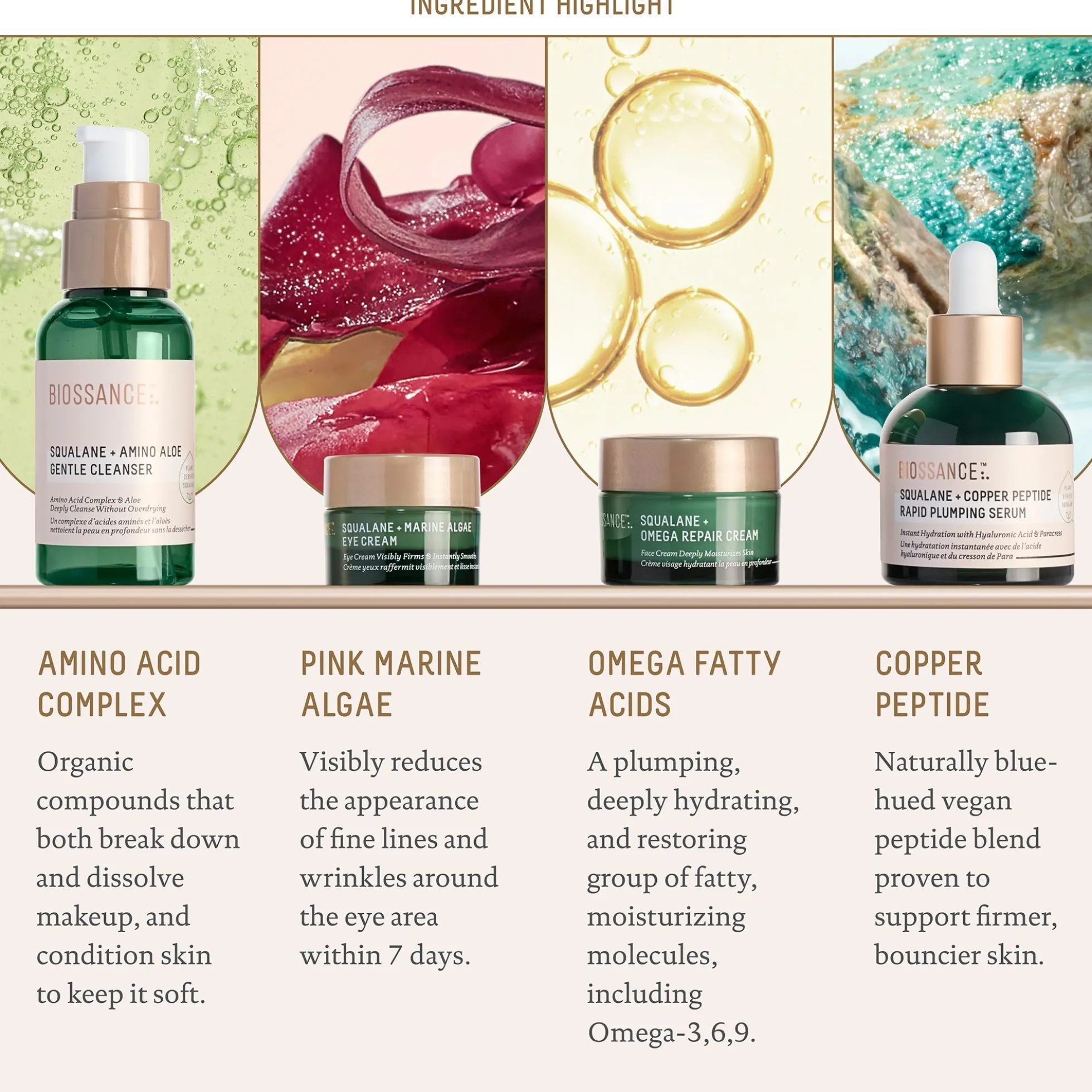 Biossance Plump and Hydrate Set
