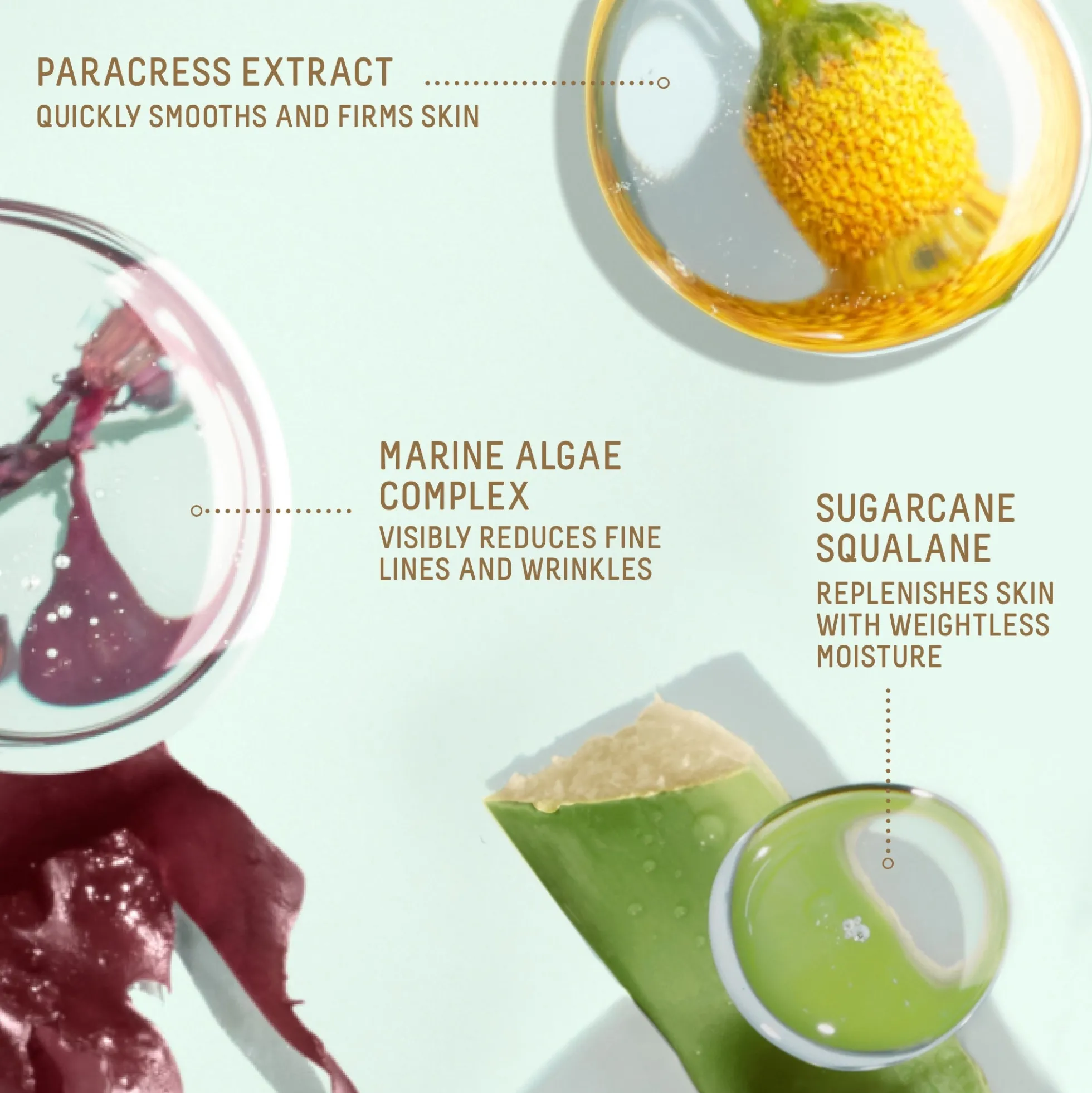 Biossance Squalane + Marine Algae Eye Cream 15ml