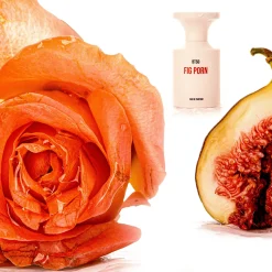 BORNTOSTANDOUT® Fig Porn Eau De Parfum 50ml