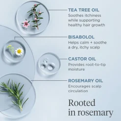 Briogeo Scalp Revival Rosemary Pre-Wash Oil for Hair and Scalp 100ml