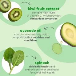 Briogeo Superfoods Avocado and Kiwi Mega Moisture Superfoods Hair Mask 240ml