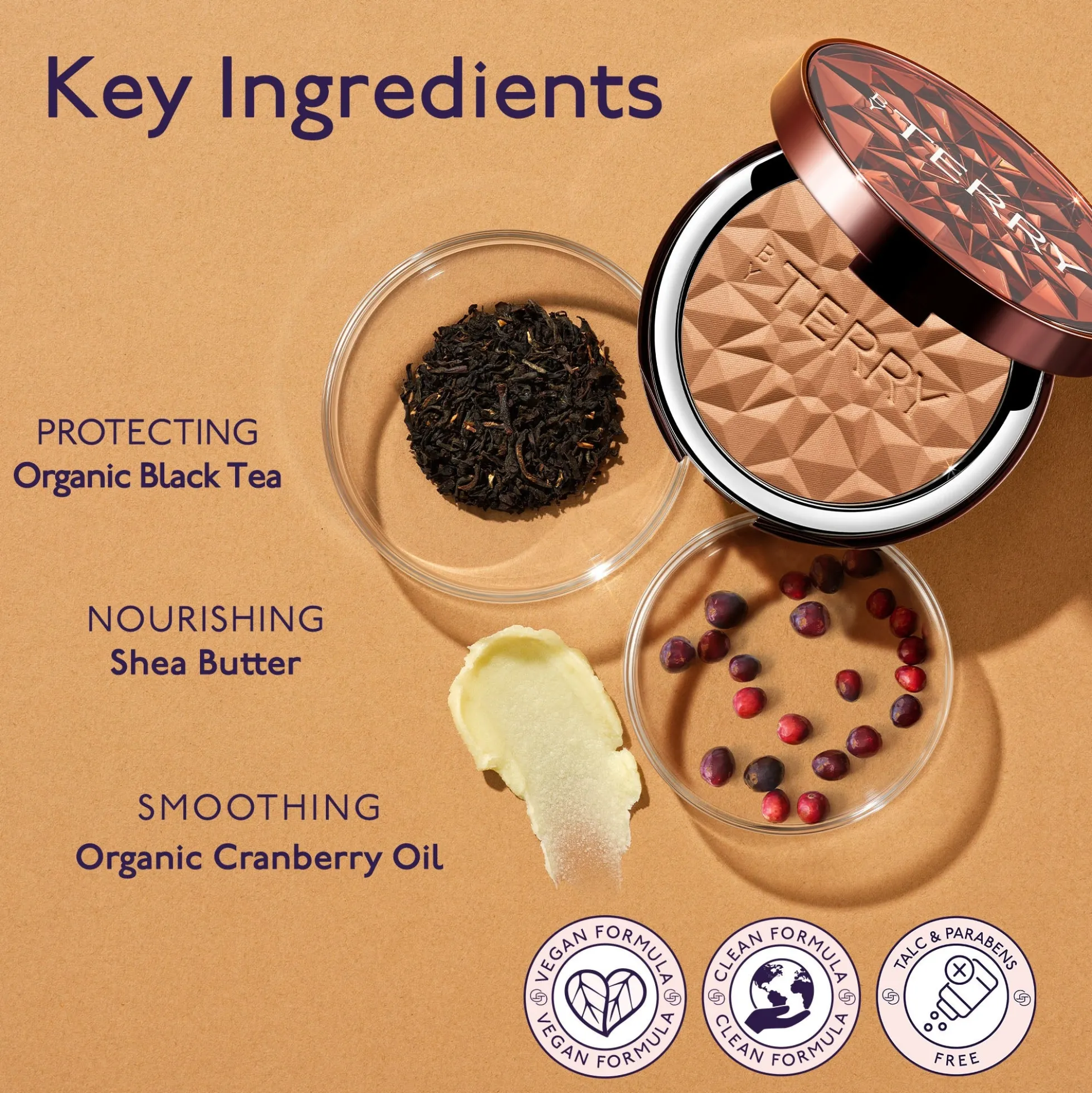 By Terry Tea to Tan Sun Powder 10g (Various Shades)