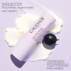 Caudalie Lip Balm with Shea Butter 4.5g