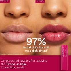 Caudalie Tinted Lip Balm 4.5g