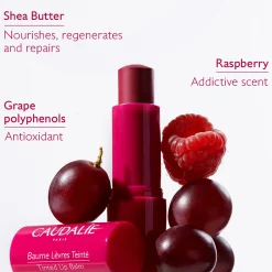 Caudalie Tinted Lip Balm 4.5g