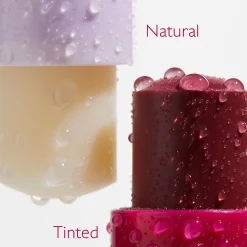 Caudalie Tinted Lip Balm 4.5g