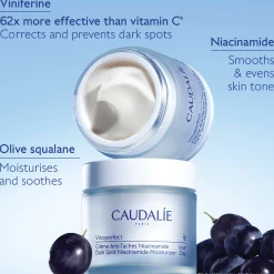 Caudalie Vinoperfect Dark Spot Niacinamide Moisturizer Refill 50ml
