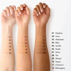 Chantecaille Just Skin Tinted Moisturizer SPF 15 35ml (Various Shades)