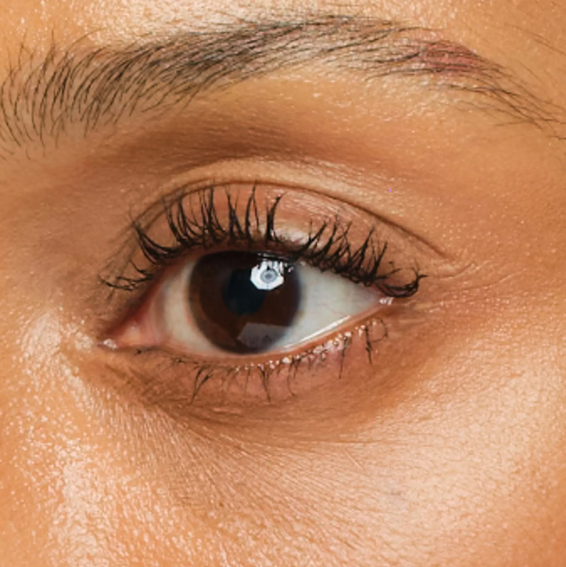 Chantecaille Longest Lash Faux Cils Mascara