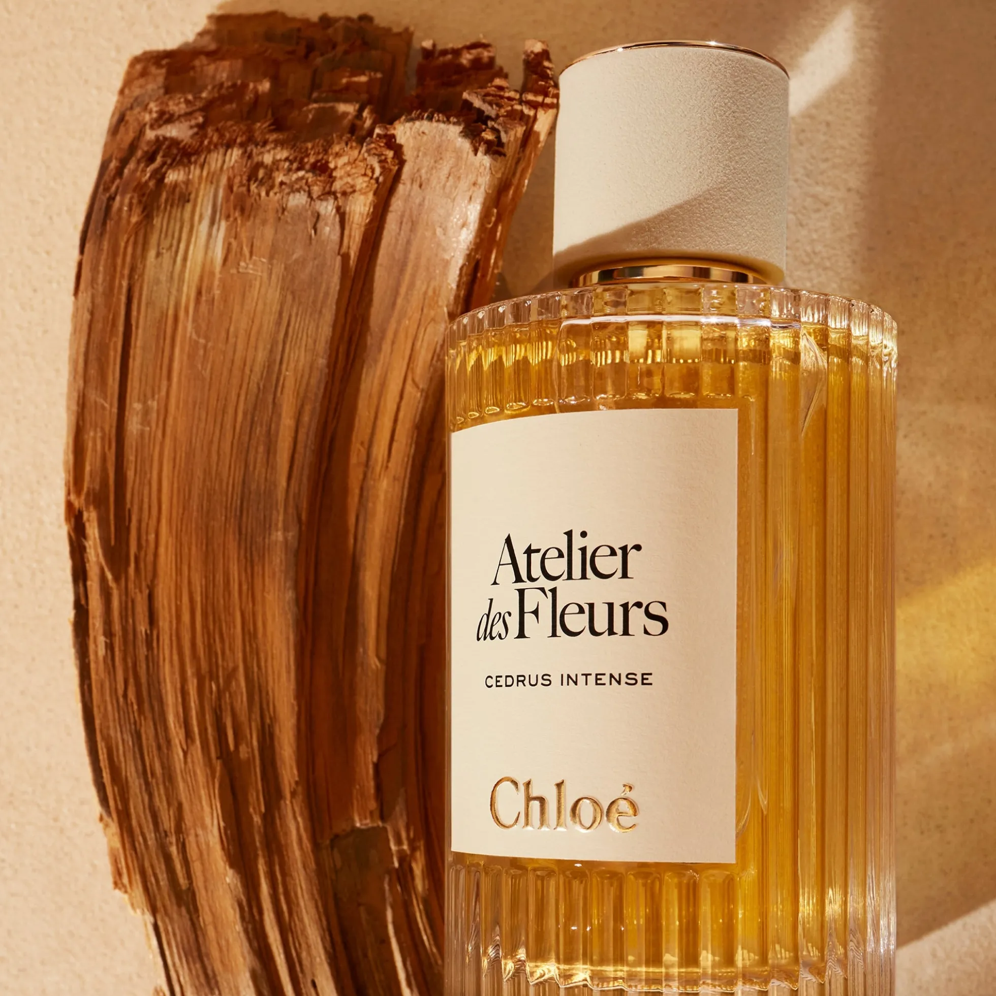 Chloé Atelier des Fleurs Cedrus Intense Eau de Parfum for Women 150ml