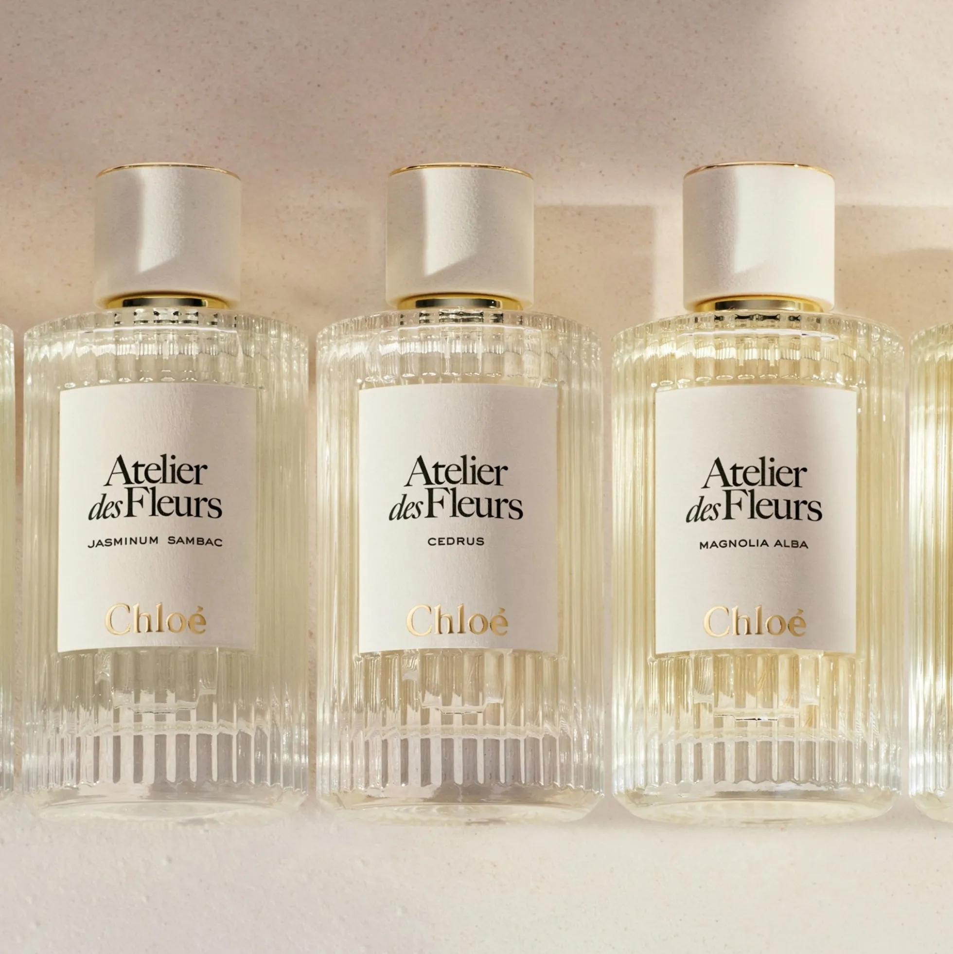 Chloé Atelier des Fleurs Cedrus Intense Eau de Parfum for Women 150ml