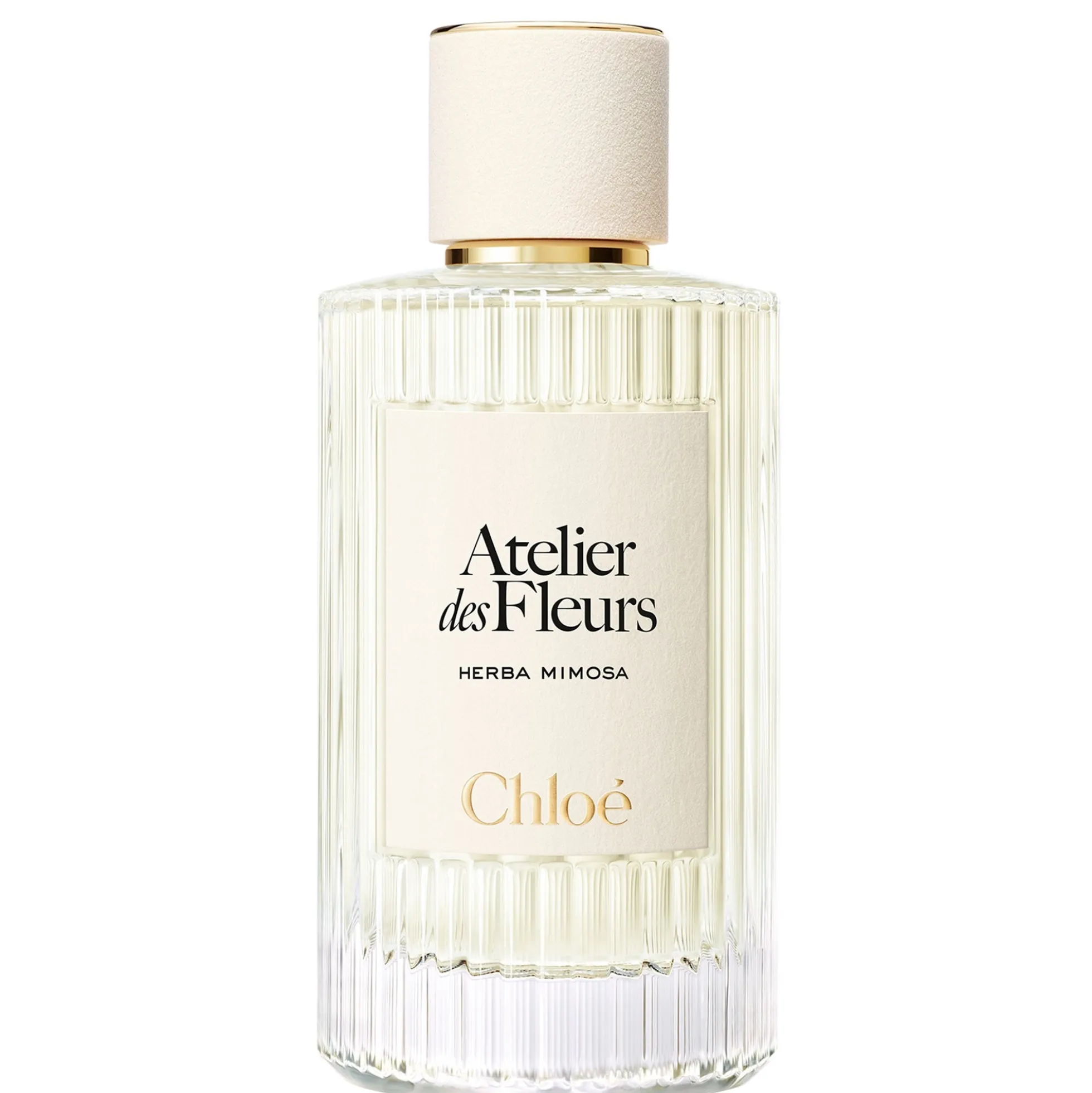 Chloé Atelier des Fleurs Herba Mimosa Eau de Parfum 150ml