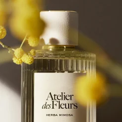 Chloé Atelier des Fleurs Herba Mimosa Eau de Parfum 150ml