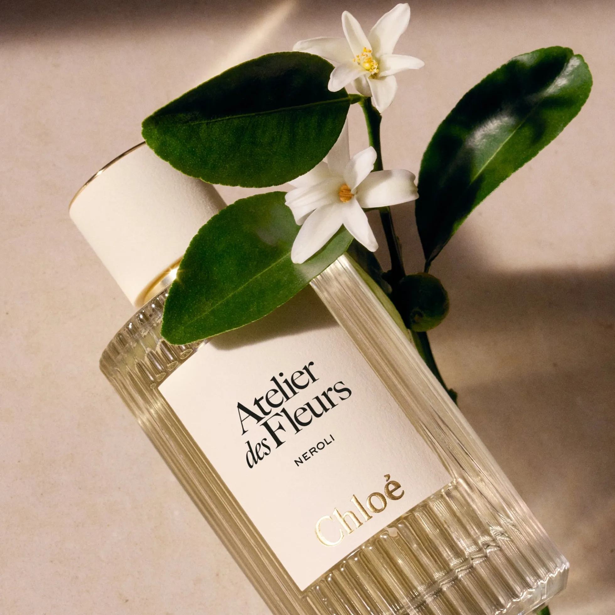 Chloé Atelier des Fleurs Neroli Eau de Parfum 50ml