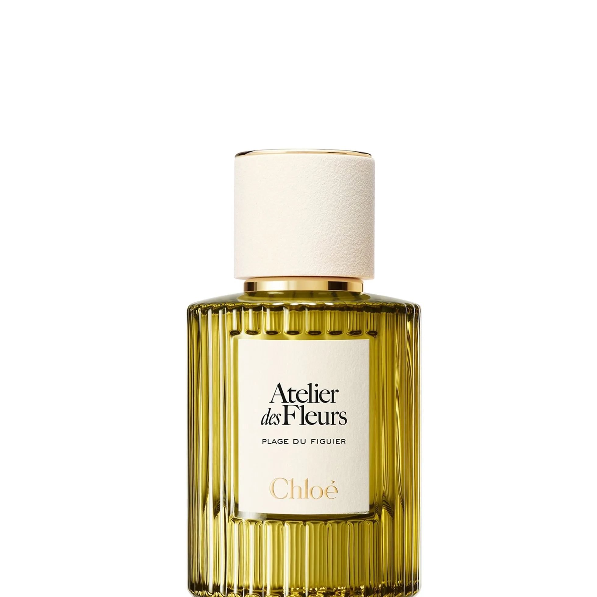 Chloé Atelier Des Fleurs Plage Du Figuier Eau De Parfum 50ml