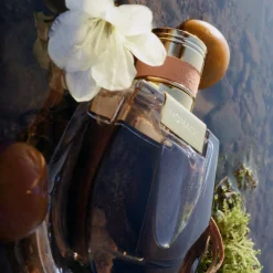 Chloé Nomade Eau de Parfum 50ml