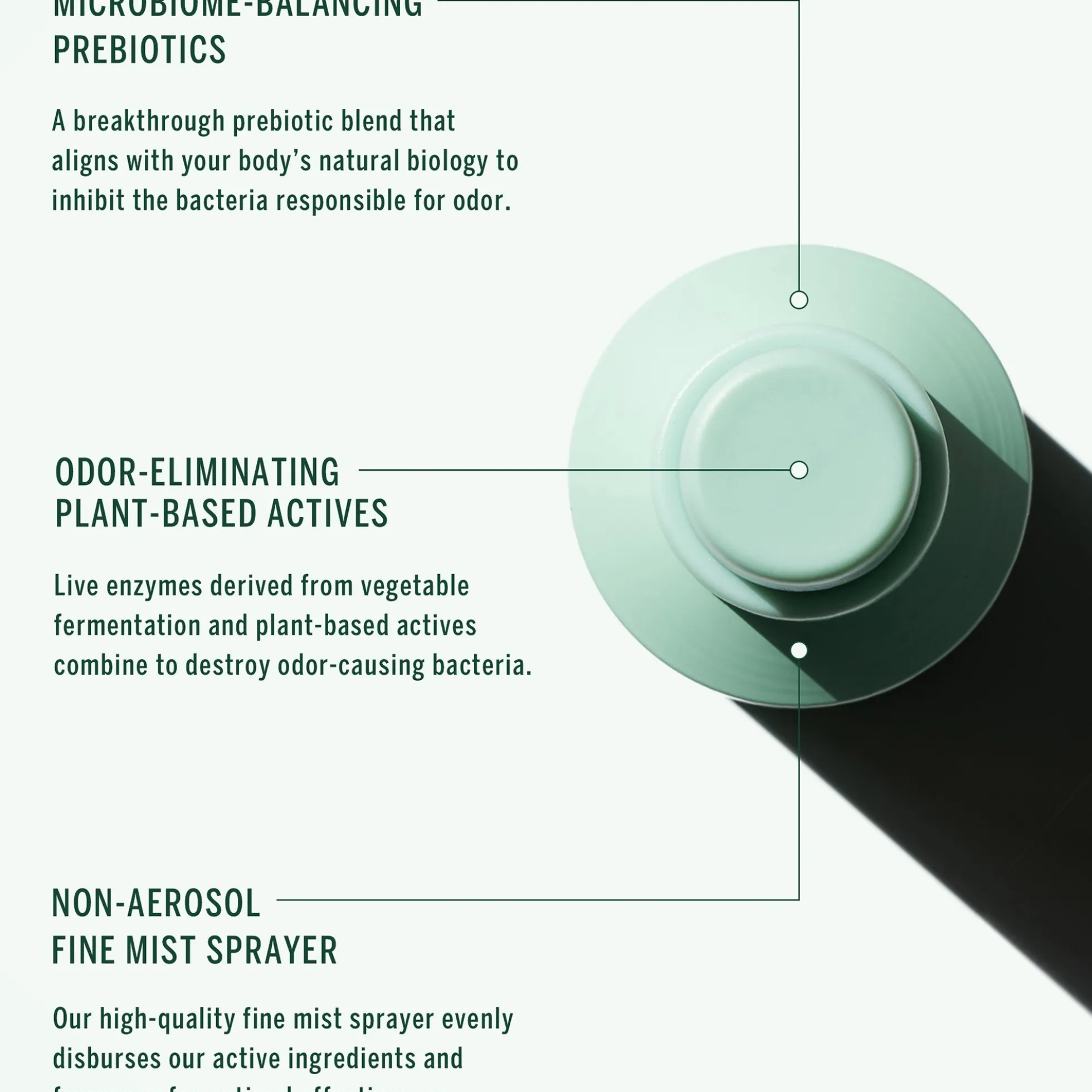 Corpus Cedar Flora Deodorant Spray 75g