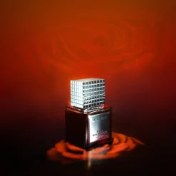 Discothèque Dark Imagination 50ml