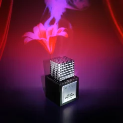 Discothèque Lola at Coat Check 50ml