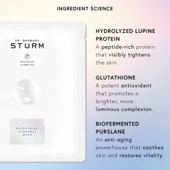 Dr. Barbara Sturm Everything Hydrogel Face Mask - Pack of 1