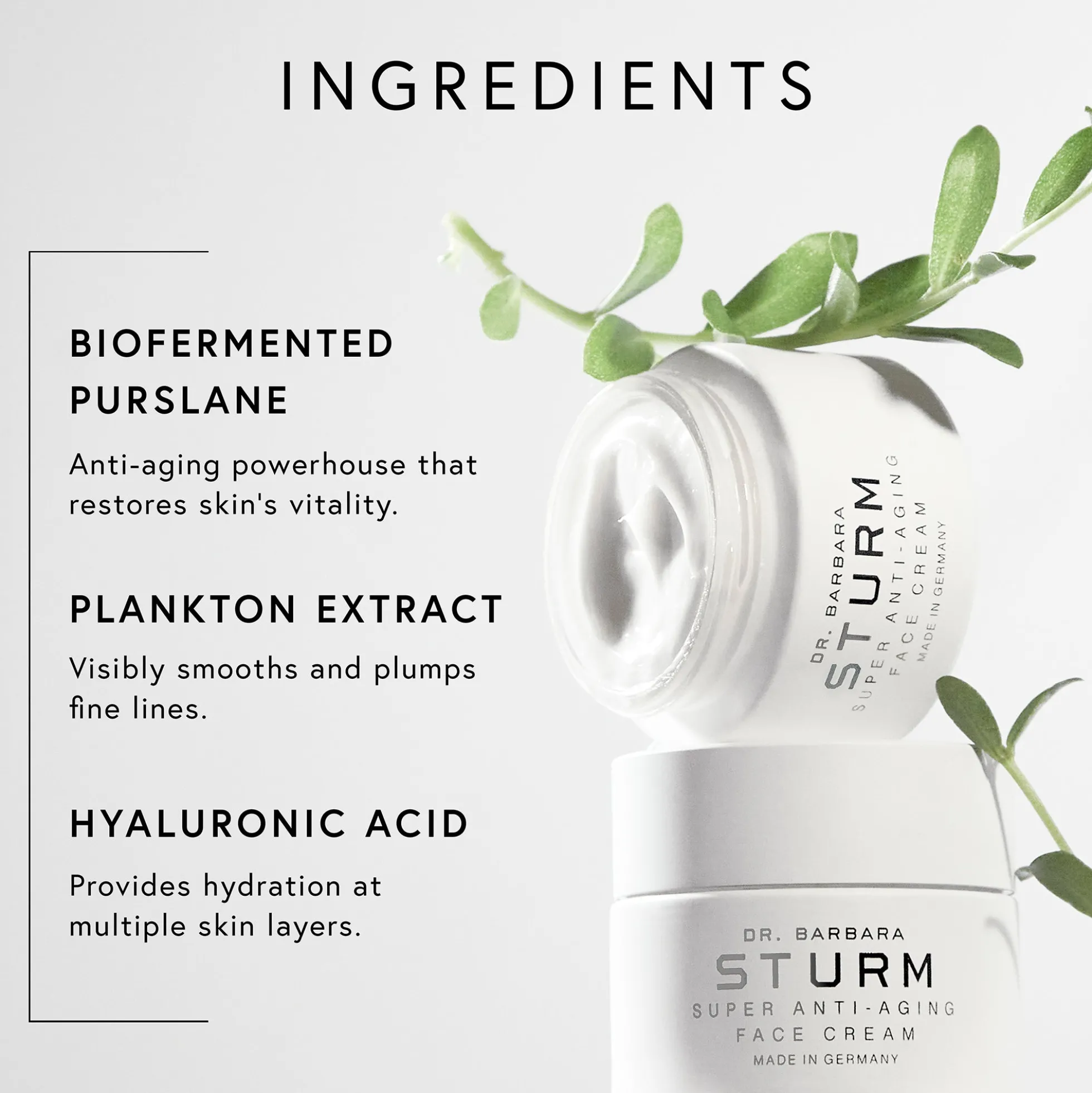 Dr. Barbara Sturm Super Anti-Aging Face Cream 50ml