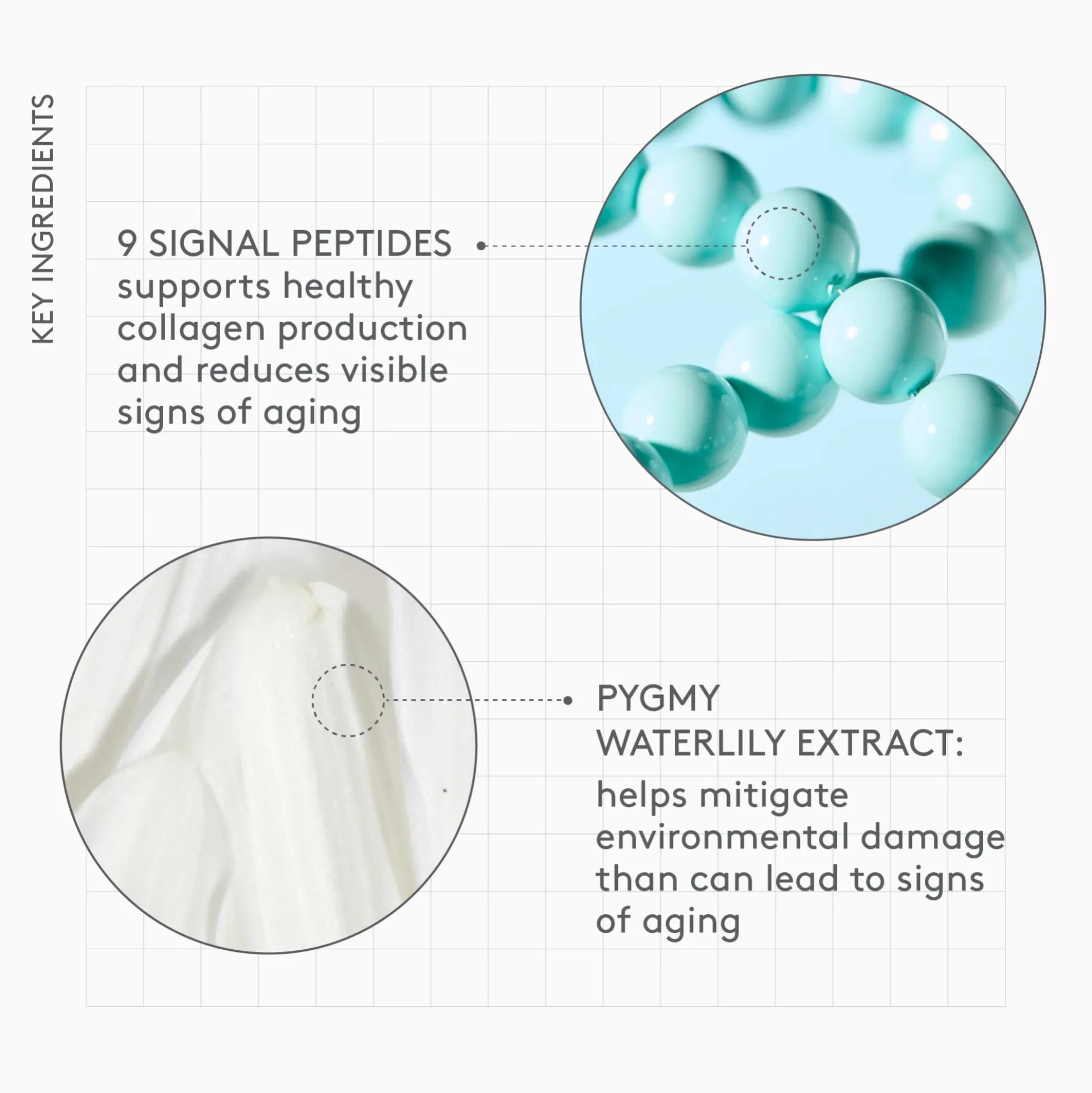 Drunk Elephant Protini Polypeptide Moisturiser 50ml Refill