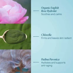 ELEMIS Pro-Collagen Rose Marine Cream 50ml