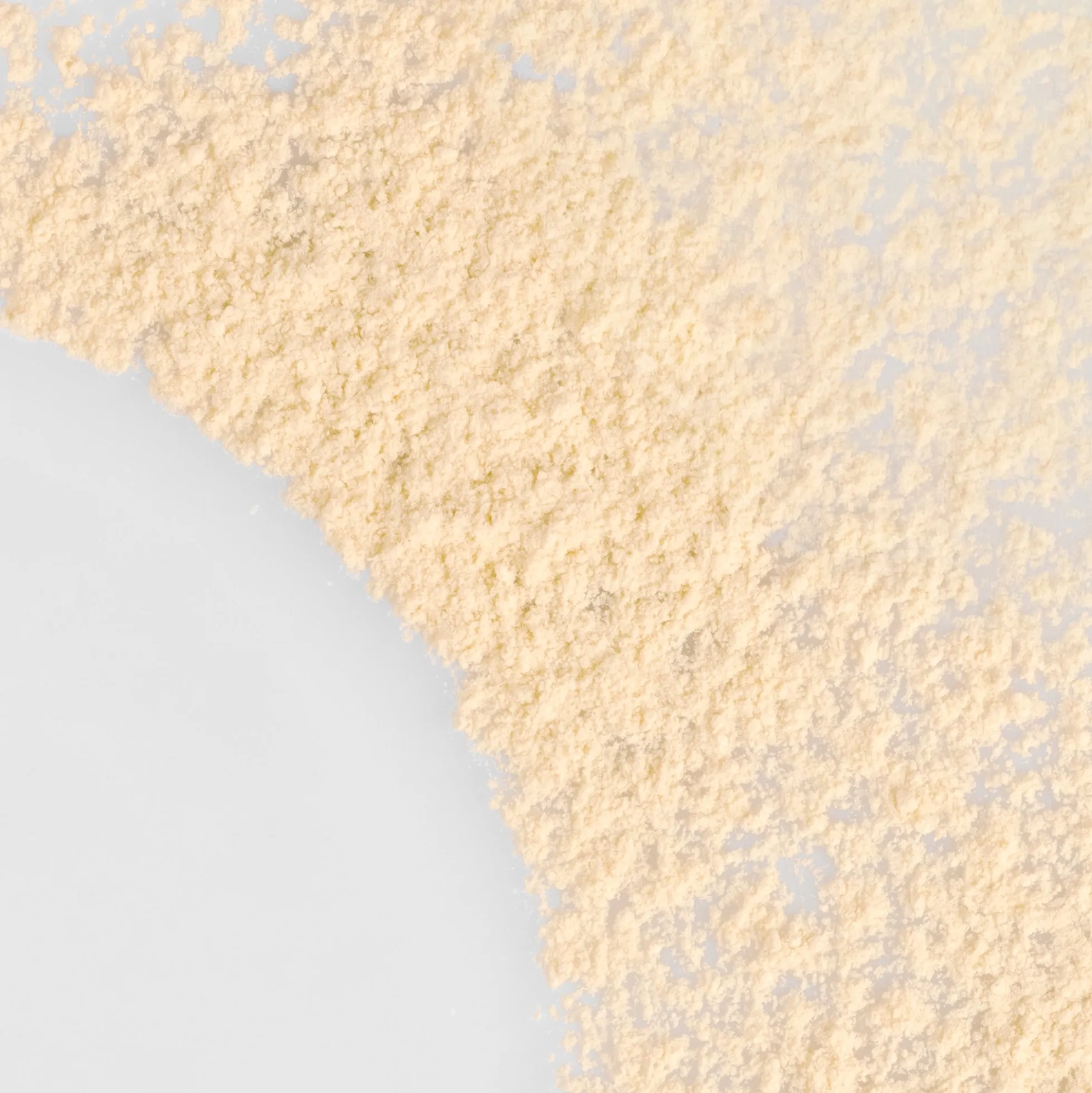 Erborian Set & Care Powder 9.5g