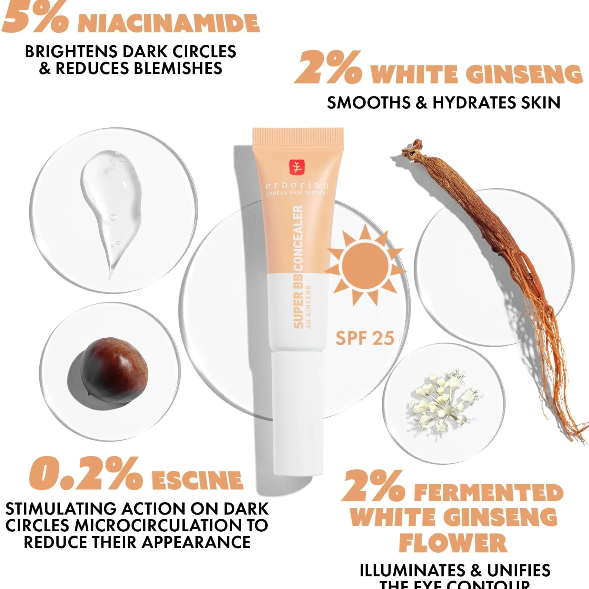Erborian Super BB Concealer (Various Shades)