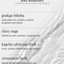 Ere Perez Ginkgo Micellar Water 300ml
