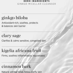Ere Perez Ginkgo Micellar Water Tablets
