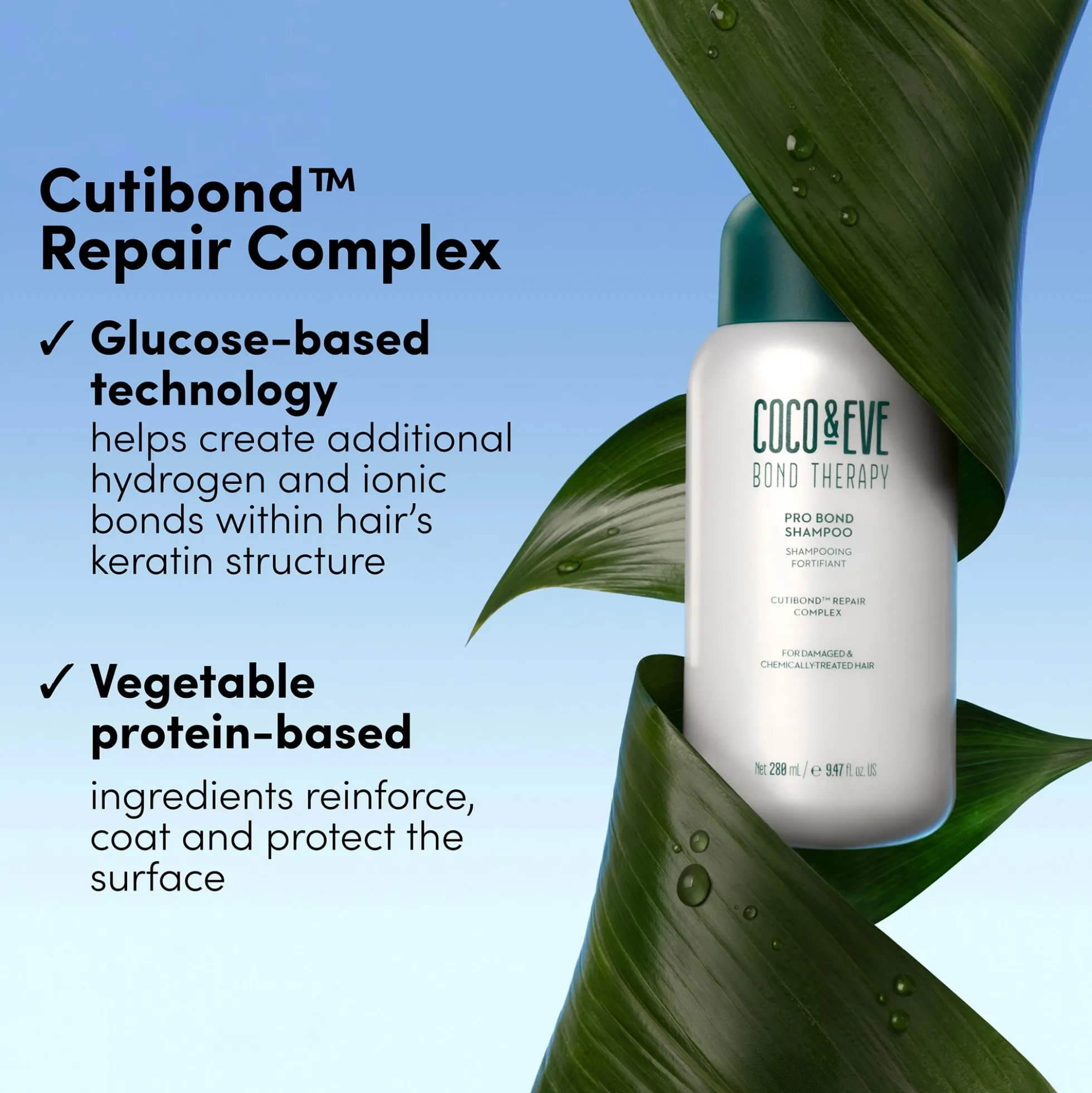 Exclusive Coco & Eve Bond Therapy Pro Bond Shampoo 280ml