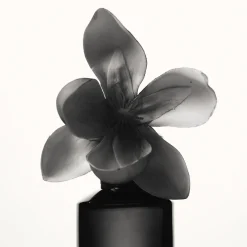 Fenty Eau de Parfum 30ml