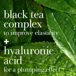 Fresh Black Tea Instant Perfecting Mask 100ml