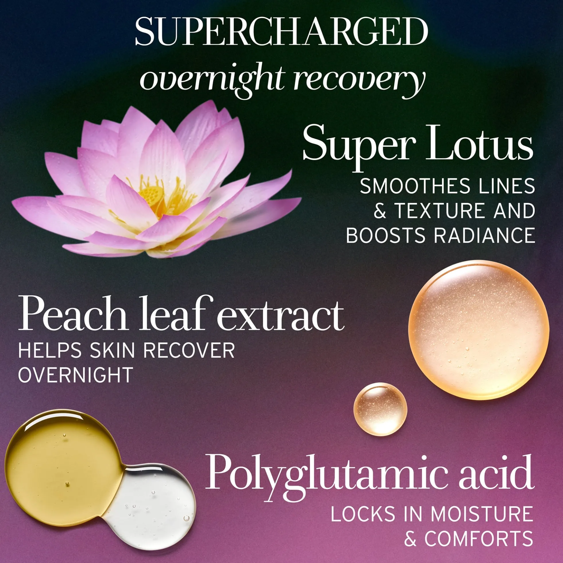 Fresh Lotus Youth Preserve Dream Face Cream 50ml