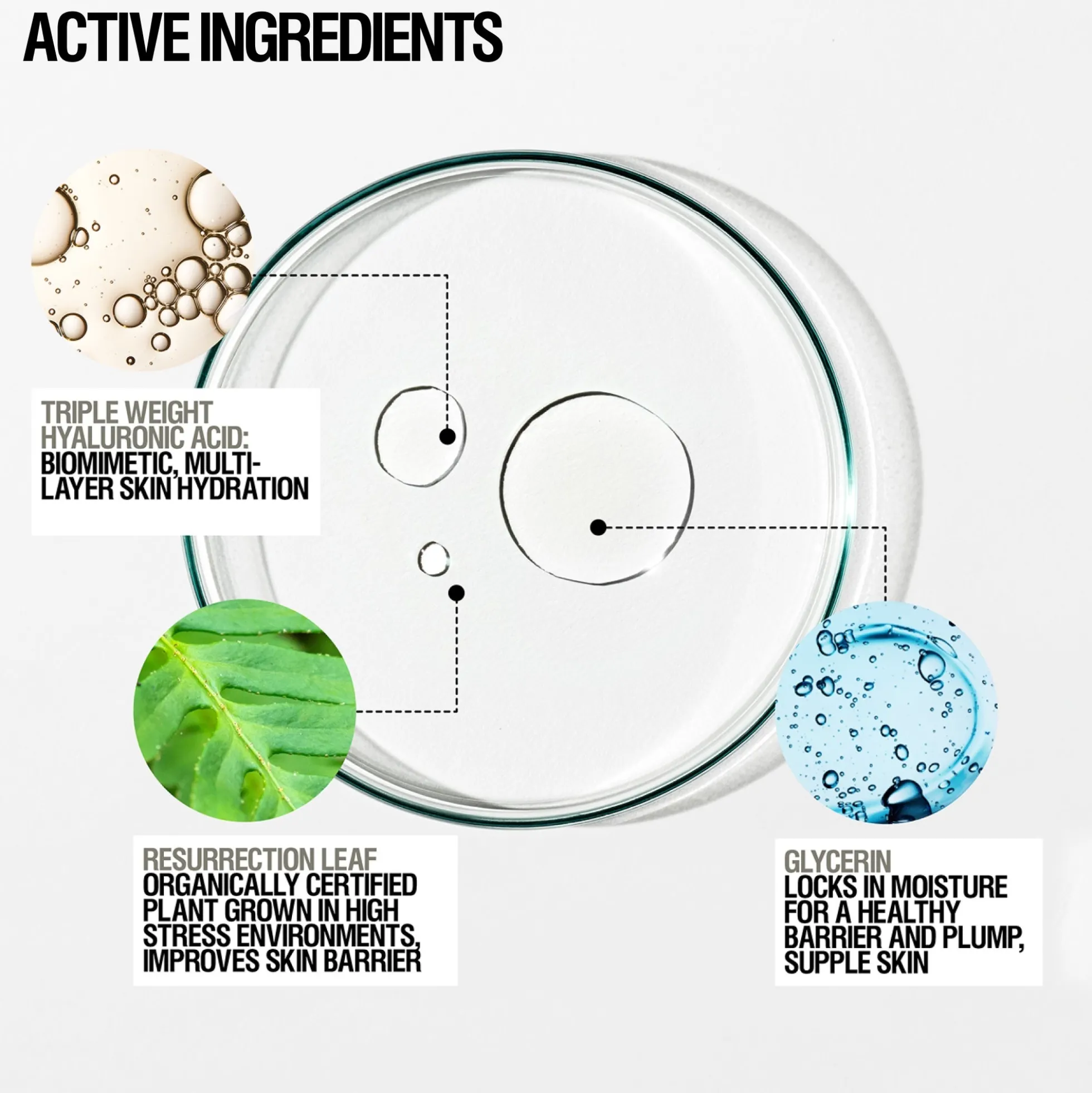 Grown Alchemist Instant Smoothing Serum Hyaluronic Acid + Resurrection Leaf 25ml