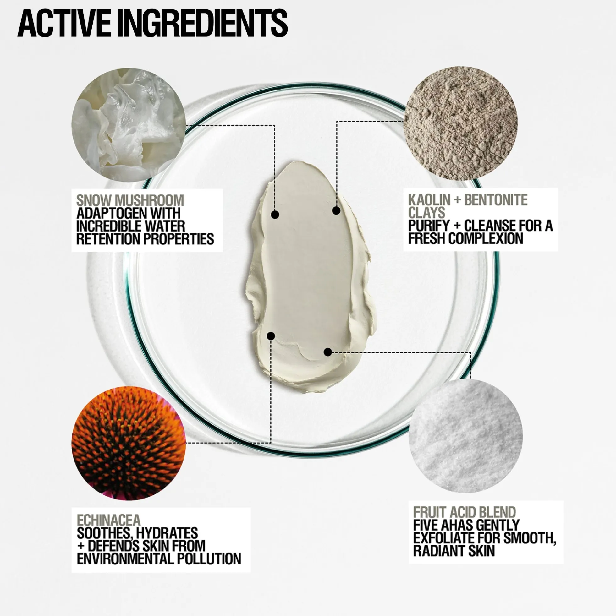 Grown Alchemist Skin Renewal Mask Echinacea + Kaolin 75ml