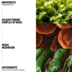 Grown Alchemist + Tomorrowland: The Elixir Collection