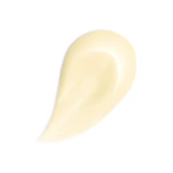 GUERLAIN Abeille Royale Honey Treatment Night Cream - The Refill 50ml