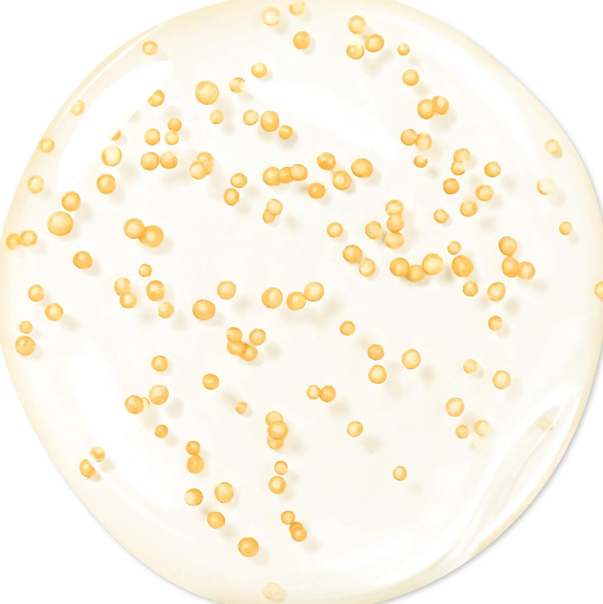 GUERLAIN Abeille Royale Youth Watery Oil Serum 15ml