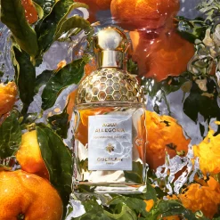 GUERLAIN Aqua Allegoria Mandarine Basilic Eau de Toilette 75ml